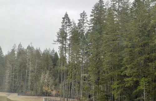 Cozy Oasis in Port Orchard - Private 1BR Suite with Trails - Foto 23