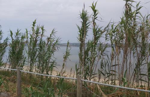 Fou de Foz - Foto 49