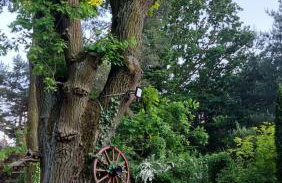 Fort Janowek - Foto 52