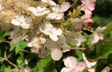 The Barn House - Foto 33