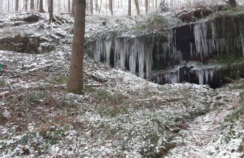 Gîte du Verre au Sabot 5 étoiles avec spa privatif - Foto 47