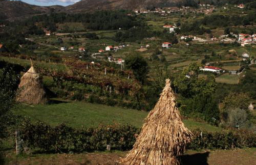 Cantinho do Cantador - Foto 39