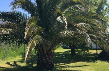 L’évidence - Foto 12