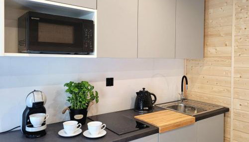 DomEK Obok Rzeki - Foto 2, stove, minibar