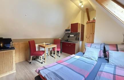 Schwarzwaldhaus Zwink - Foto 51