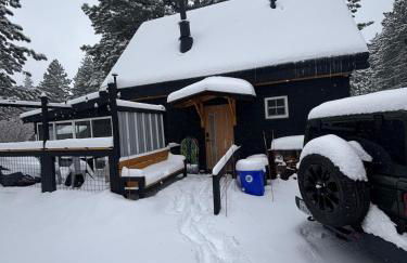 The Honey Bear Cabin Jacuzzi EV Friendly Renovated - Foto 29