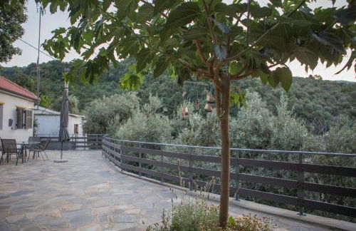 Fofi's House - Foto 22