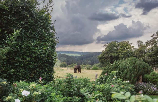 Romantic Hideaway in Hellenthal - Photo 25