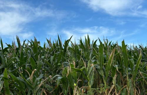 Schöne Maisonette-Wohnung in ruhiger Lage - Foto 18