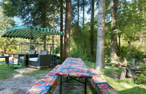 Grundhäusle Gütenbach - Foto 32