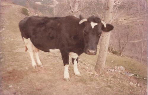 Apartaments Fontalba - Foto 43