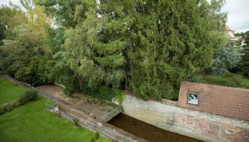 Lovely 1 room apartment near Basel - Foto 4