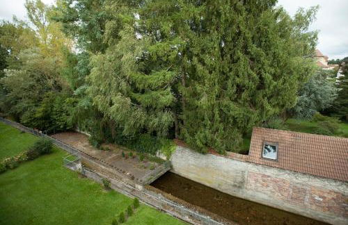 Lovely 1 room apartment near Basel - Foto 4