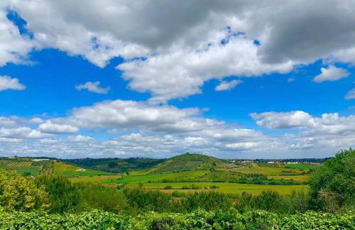 OakTree Villa - Quinta da BellaVista - Foto 37