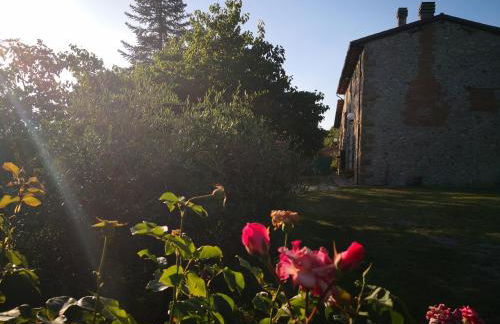 La Giuncaia - Photo 49