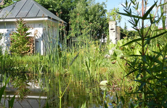 Blue Wall BnB - business apartments - Foto 75