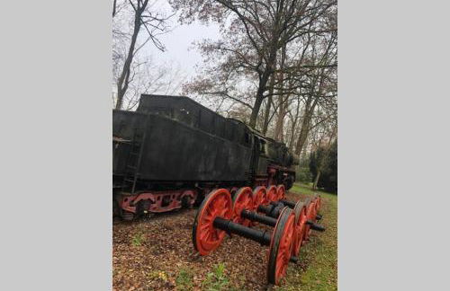 Ferienwohnung und Monteurwohnung Matthies Nähe Köln 30km - Foto 36