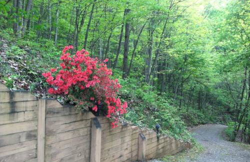 Top of the Line Asheville Mountain Cabin - Foto 62
