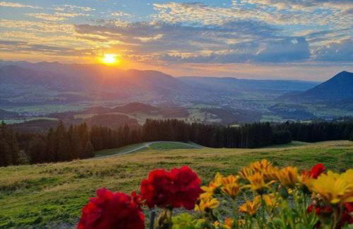 Main Comfortable holiday residence - Foto 10