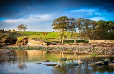 Sugar Sands - Foto 19