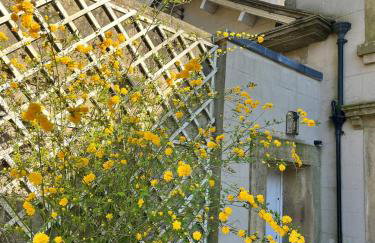 Sherlock Holmes Historic House - Photo 8