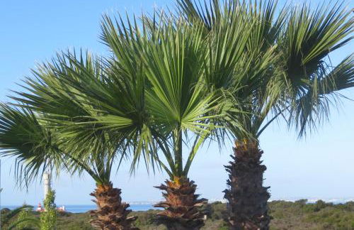 Three Palms Apartment - Foto 1