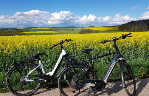 Stilvolle Fewo Vogelnest, barrierefrei, Smart-TV, Parkplatz - Foto 23