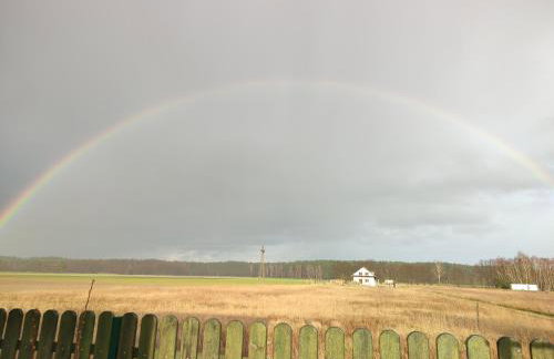 Zielona Przystań - Foto 30