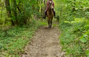 la maison Cavancha - Foto 20