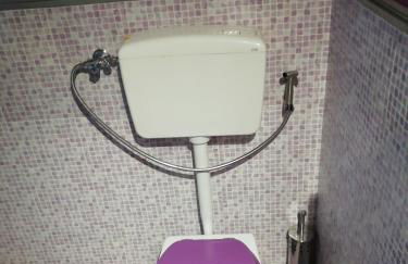 La vie en rose - Photo 39