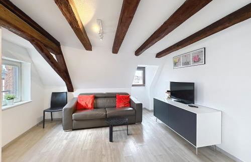 A L'ill - Apparts & Studios Strasbourg Hyper Centre - Foto 61