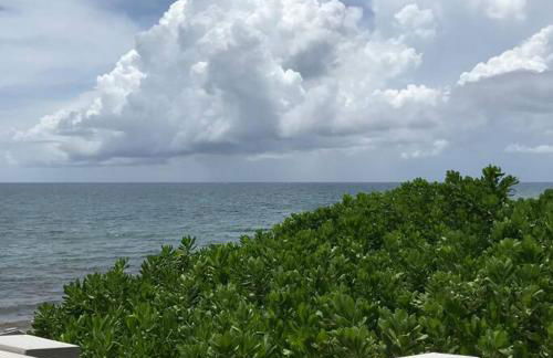 Sabal Palm Vacation Homes - Foto 58