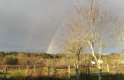 casa cacheiras - Foto 23