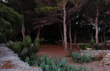 VillA LA PinetA - Foto 17