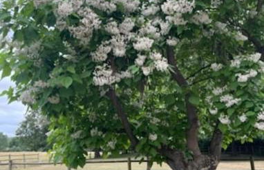 LA MAISON UGOLIN and INÈS - Foto 19