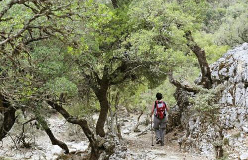 Zaros Cottage - Foto 67