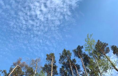 Apartament w Słupsku centrum bezpłatny parking - Photo 35