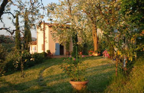 Appartamento con patio privato e giardino tra Pisa e Firenze - Foto 17