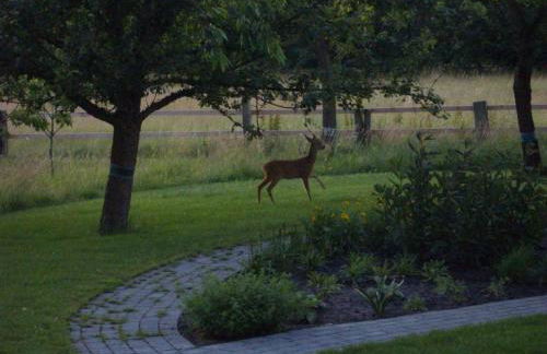 B&B Annabelle - Foto 16