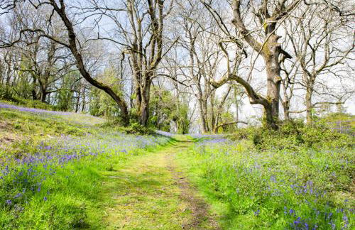 Little Hollows Glamping - Foto 67