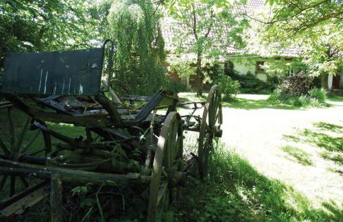 Ferienhof Rauchhaus - Foto 42