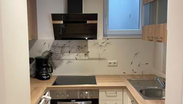 Apartment für Urlauber, Geschäftsreisende oder Langzeitmieter - Foto 2, stove, dishwasher