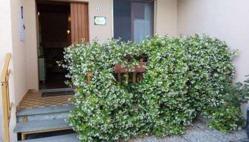 Il gelsomino del Perugino - Foto 3, Garden