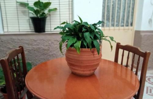 Casa Pinos - Foto 25