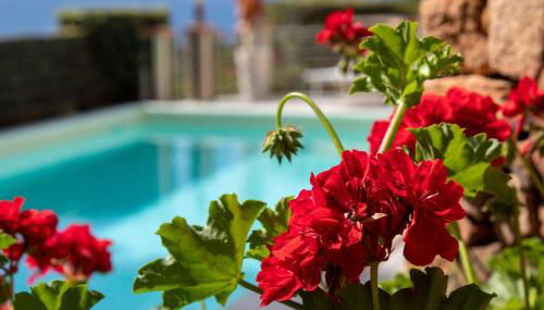 Villa Campigiana - Foto 4, Garden, Garden view