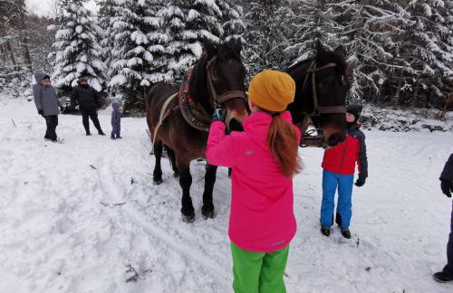 Strefa Ciszy -Lawenda - Foto 20