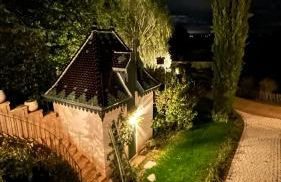 Domaine de la Serve - Foto 23