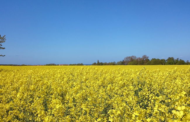 Cozy Bungalow in Stove Germany near Baltic Sea - Foto 26