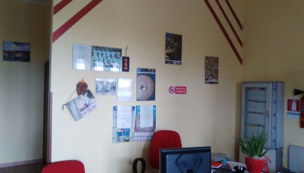 Check-in-/Check-out-Schalter