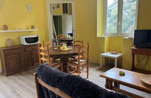 Cosy and bright apartment in Eaux-Bonnes center - Foto 3